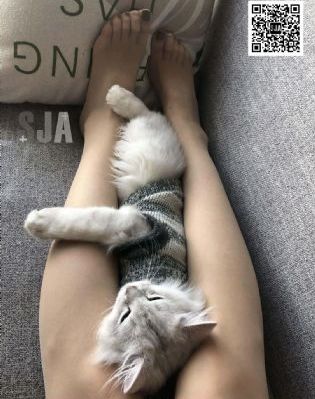 迷人的保姆4_免费在线观看播放