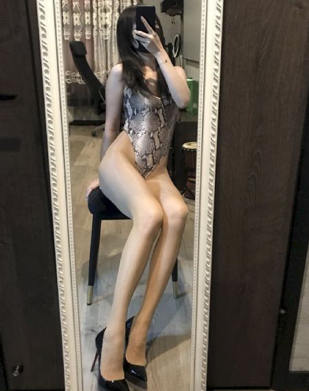楼顶大象_蓝光高清免费观看