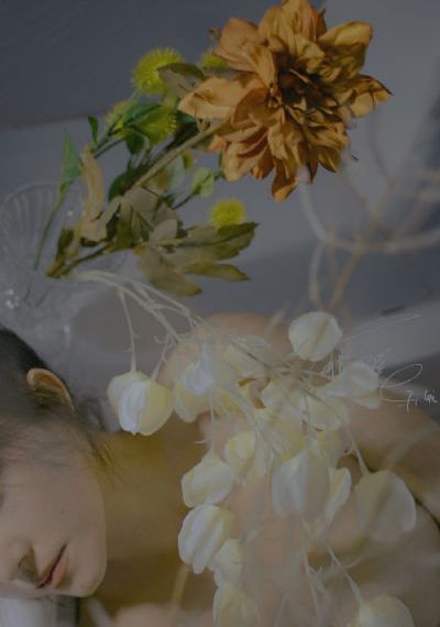 白月梵星看电视剧免费大全_BD电影免费在线