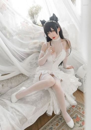 狼殿下电视剧全集免费观看完整版_DVD完整在线观看