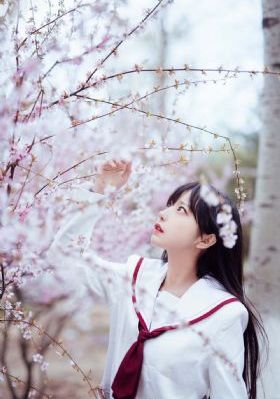 影视免费在线观看_1080在线视频播放